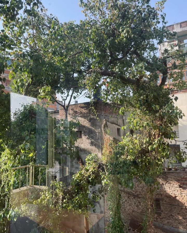 Rooftop Studio And 2Bhk Apartments In Kathmandu'S Most Happening Place Exterior foto